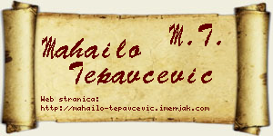 Mahailo Tepavčević vizit kartica